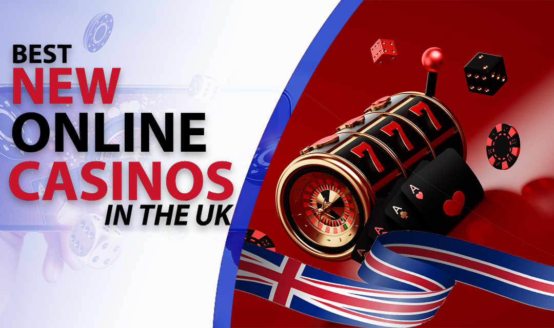 Experience the Thrill of Gaming with WildRobin