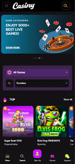Discover the Exciting World of Casyni Your Ultimate Online Gaming Destination